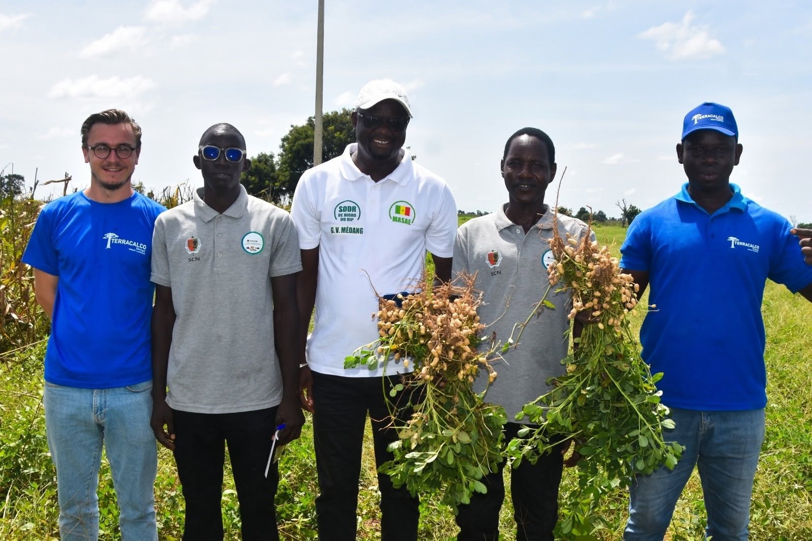 Campagne agricole 2025-2026 : Évaluation positive du chaulage à Keur Maba Diakhou