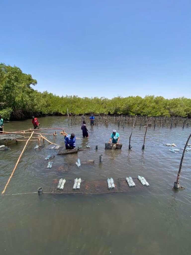 Mission d&rsquo;identification des sites aquacoles : cinq régions du Sénégal à l&rsquo;étude dans le cadre du projet SENRM