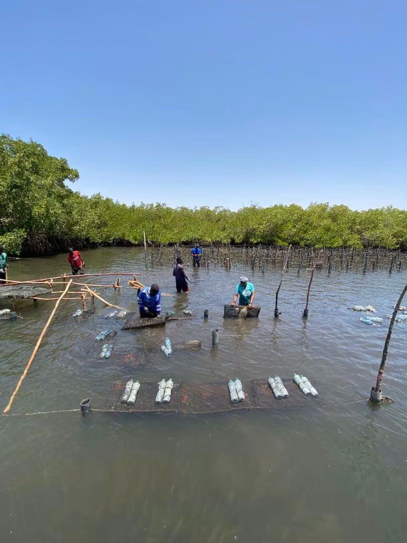 Mission d&rsquo;identification des sites aquacoles : cinq régions du Sénégal à l&rsquo;étude dans le cadre du projet SENRM