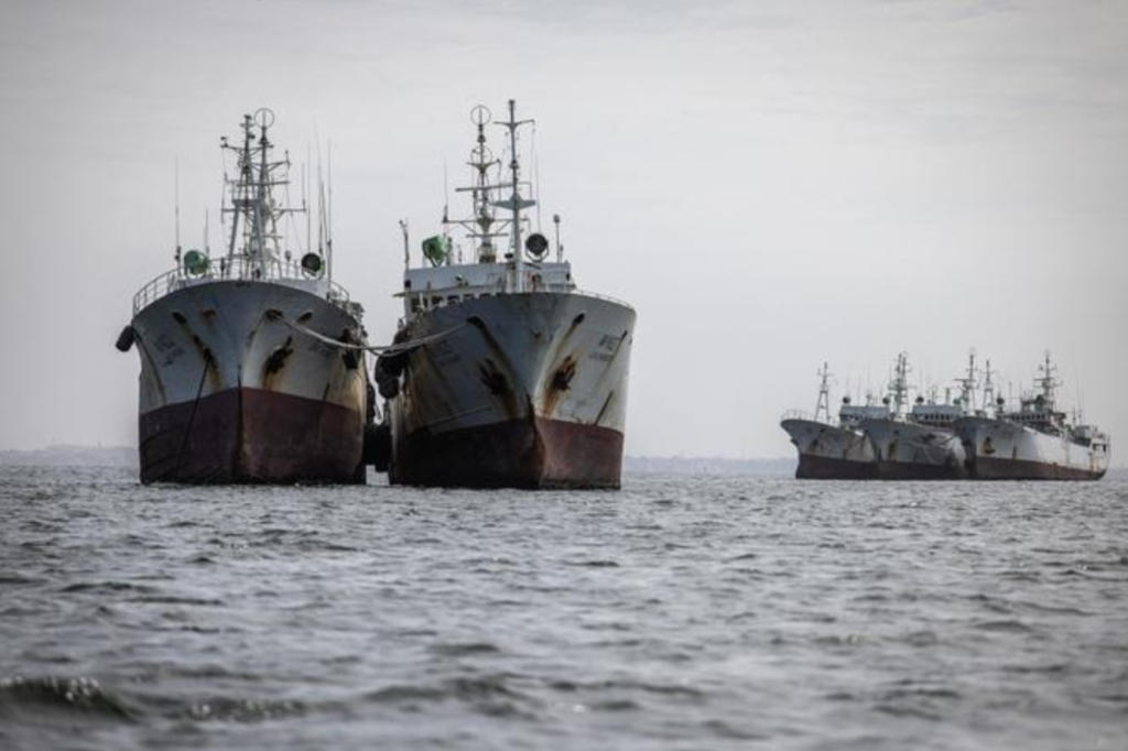 Au-delà des listes de navires : qui bénéficie réellement des licences de pêche démersale côtière au Sénégal ?