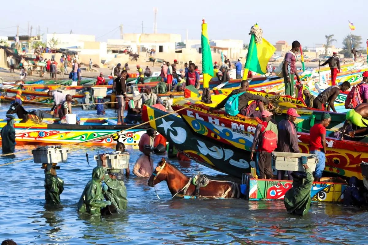 Mbour :Le poisson en passe de devenir un produit de luxe pour les ménages
