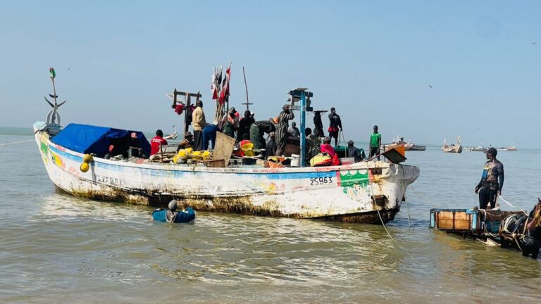Gestion durable des petits pélagiques : Vers des commissions mixtes entre acteurs de la pêche artisanale en Afrique de l&rsquo;Ouest