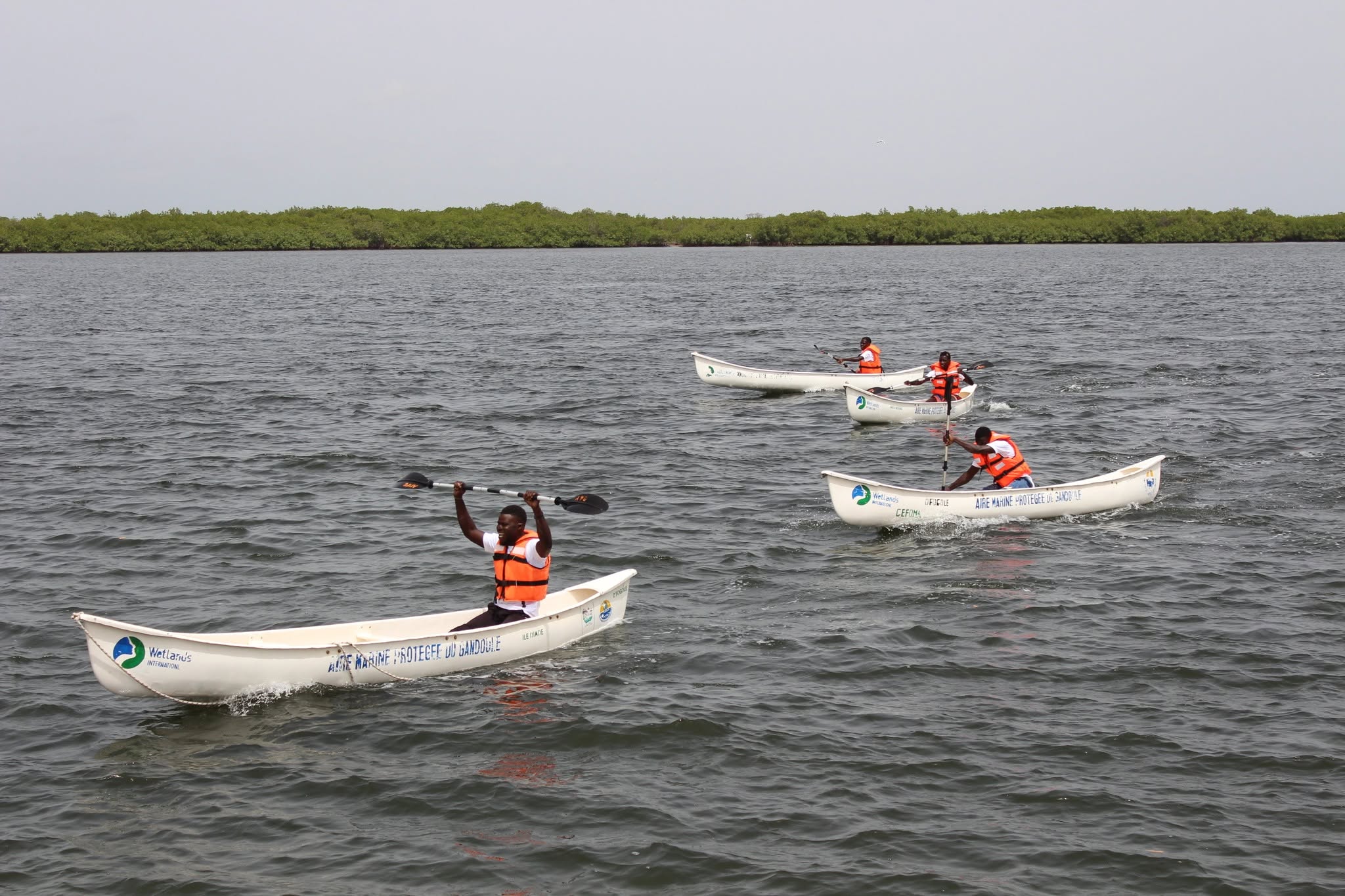 Djirnda se mobilise pour le climat et la protection de sa mangrove