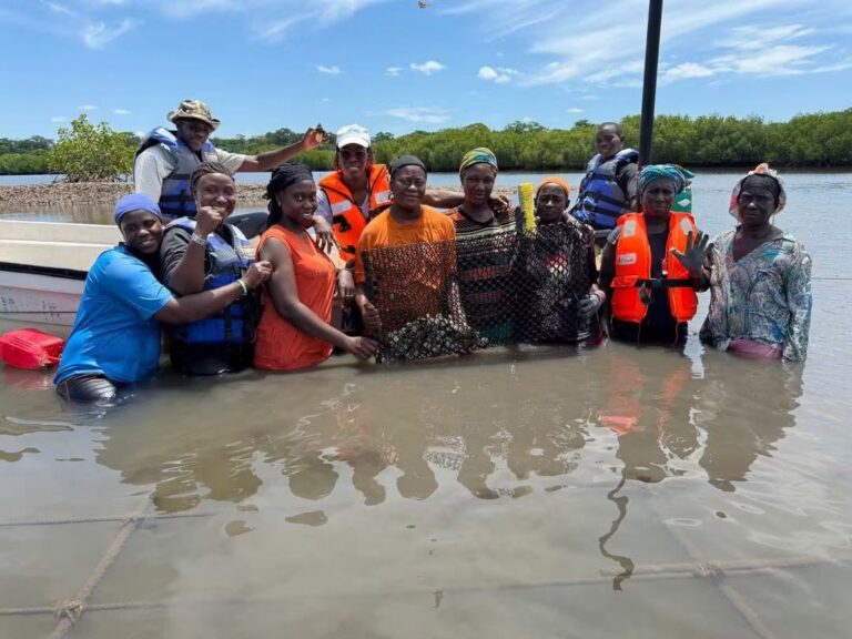 Le projet Natur&rsquo;ELLES renforce l&rsquo;aquaculture dans la région de Ziguinchor