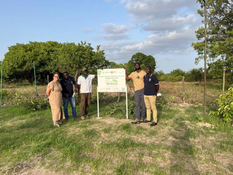 Visite de Wanda Dimitri du CIHEAM Bari au Centre CasaBio : Vers un renforcement des partenariats agroécologiques sénéo-italiens