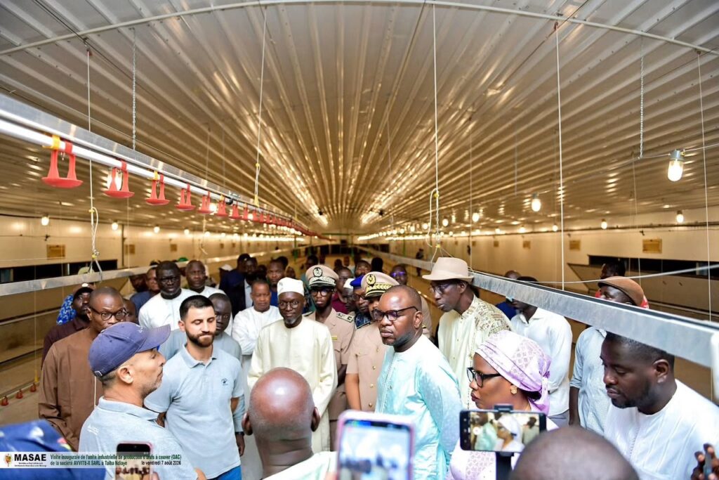 Souveraineté avicole : le Sénégal inaugure sa première usine d&rsquo;œufs à couver