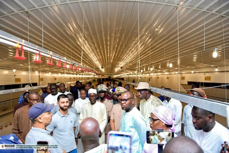 Souveraineté avicole : le Sénégal inaugure sa première usine d&rsquo;œufs à couver