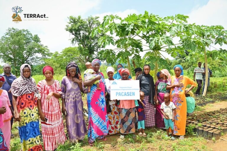 Salémata : À GADA GANDJIRI, le maraîchage soutenu par le PACASEN transforme le quotidien des femmes
