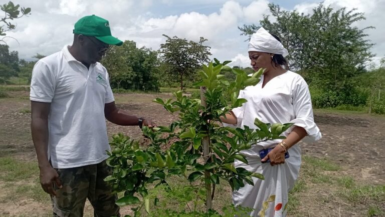 Un triple partenariat pour booster l&rsquo;agroécologie et le développement local à Diaobé-Kabendou